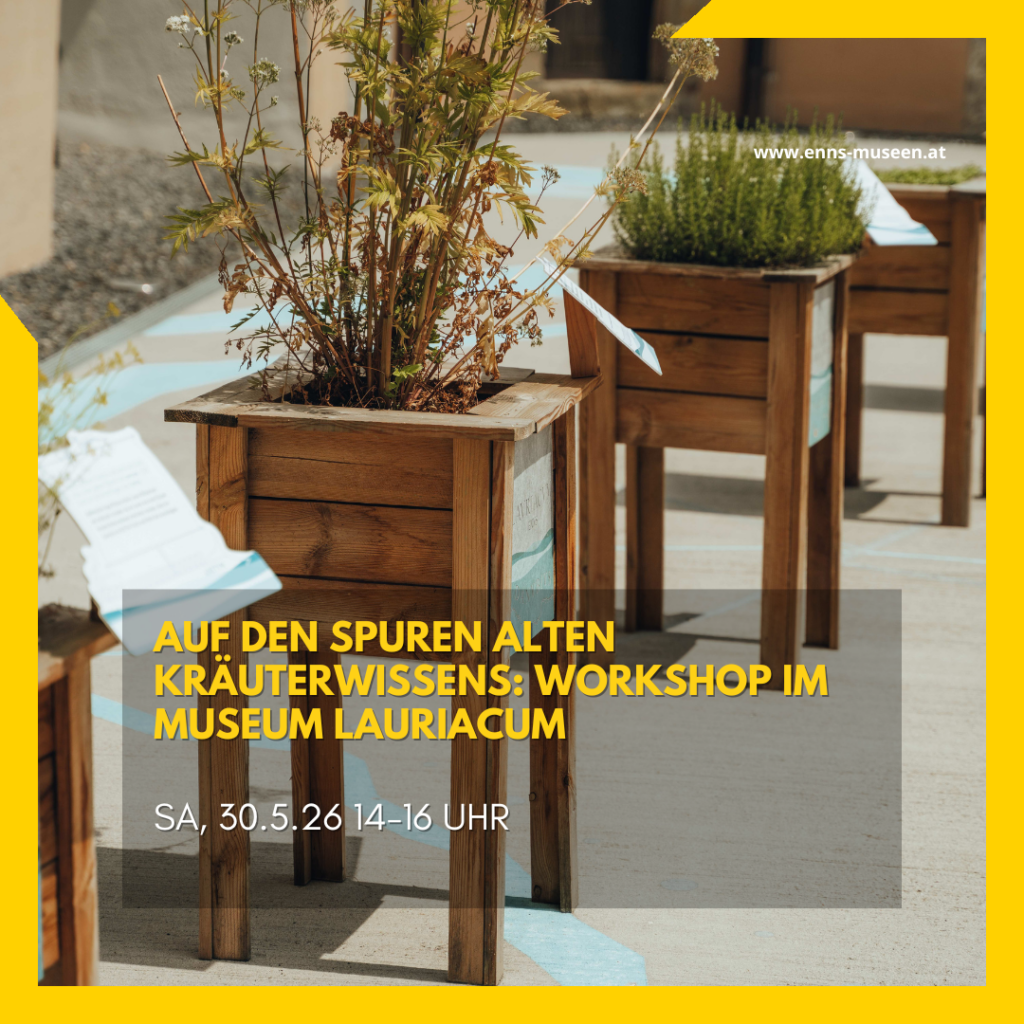 Kräuterworkshop im Museum Lauriacum