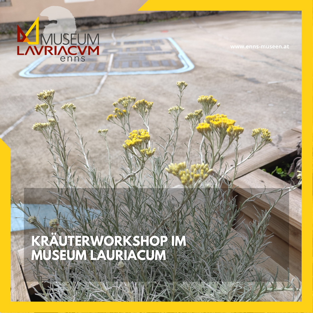 Kräuterworkshop